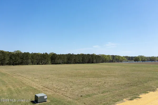 $121,000 | Lot #4 Lenora Drive, Carriere, MS 39426