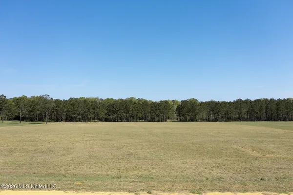$121,000 | Lot #4 Lenora Drive, Carriere, MS 39426