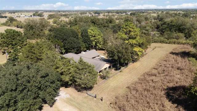 a view of a mountain with a forest