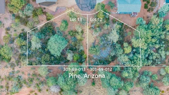 an aerial view of a house with a garden