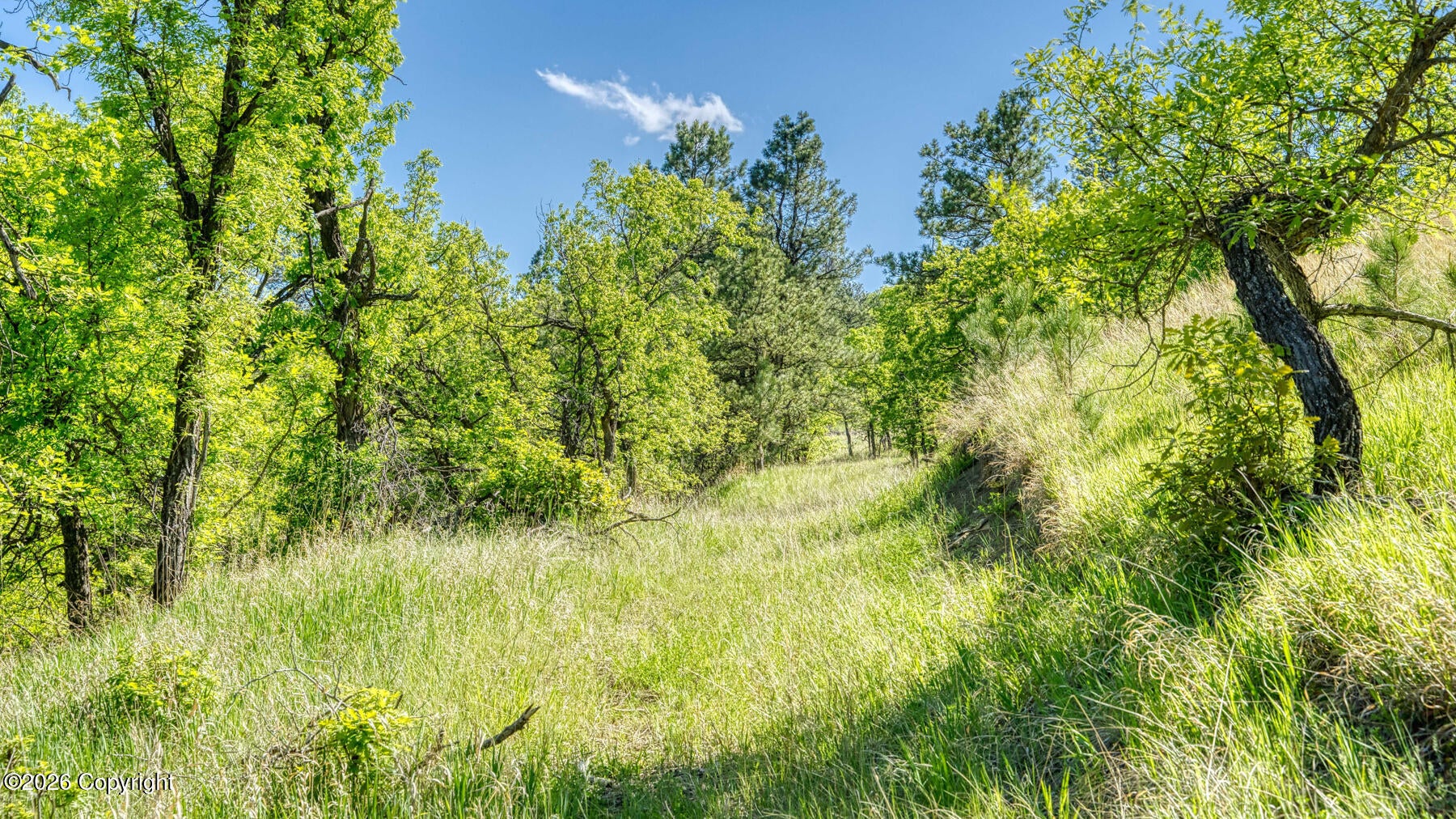 11 Soaring Eagle Road Hulett, WY 82720 - Photo 24 of 43 Gallery Image 24