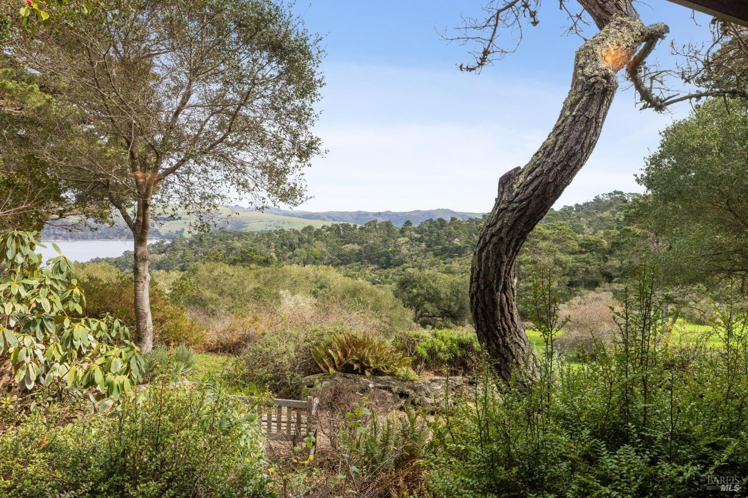 1208 Pierce Point Road Inverness, CA 94937 - Photo 24 of 89
