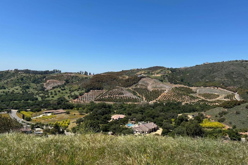 1 Vía Tornado Temecula, CA 92590 - Photo 11 of 42 an aerial view of mountain with trees