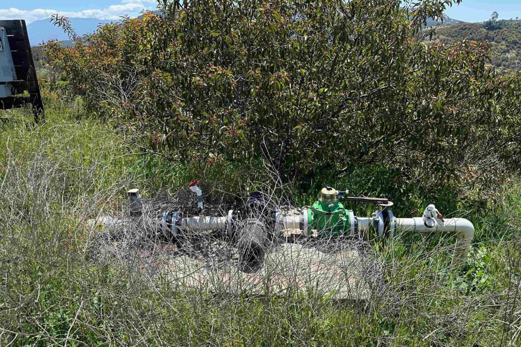 1 Vía Tornado Temecula, CA 92590 - Photo 12 of 42 a view of a bunch of trees and bushes