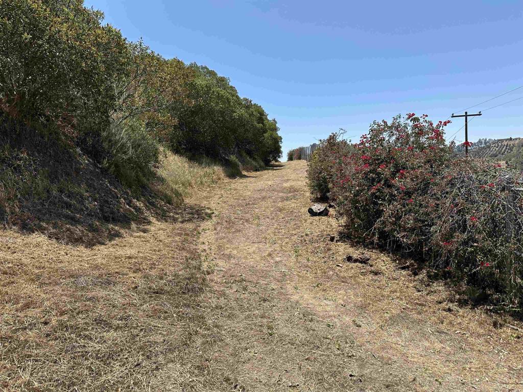 1 Vía Tornado Temecula, CA 92590 - Photo 36 of 42 a view of a dry yard with lots of bushes