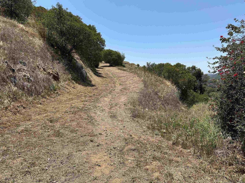 1 Vía Tornado Temecula, CA 92590 - Photo 37 of 42 a view of a dry yard with mountains in the background