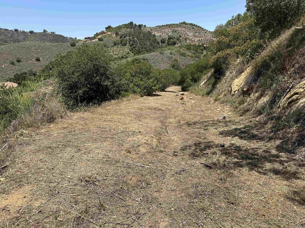 1 Vía Tornado Temecula, CA 92590 - Photo 38 of 42 a view of a dry yard with mountains in the background