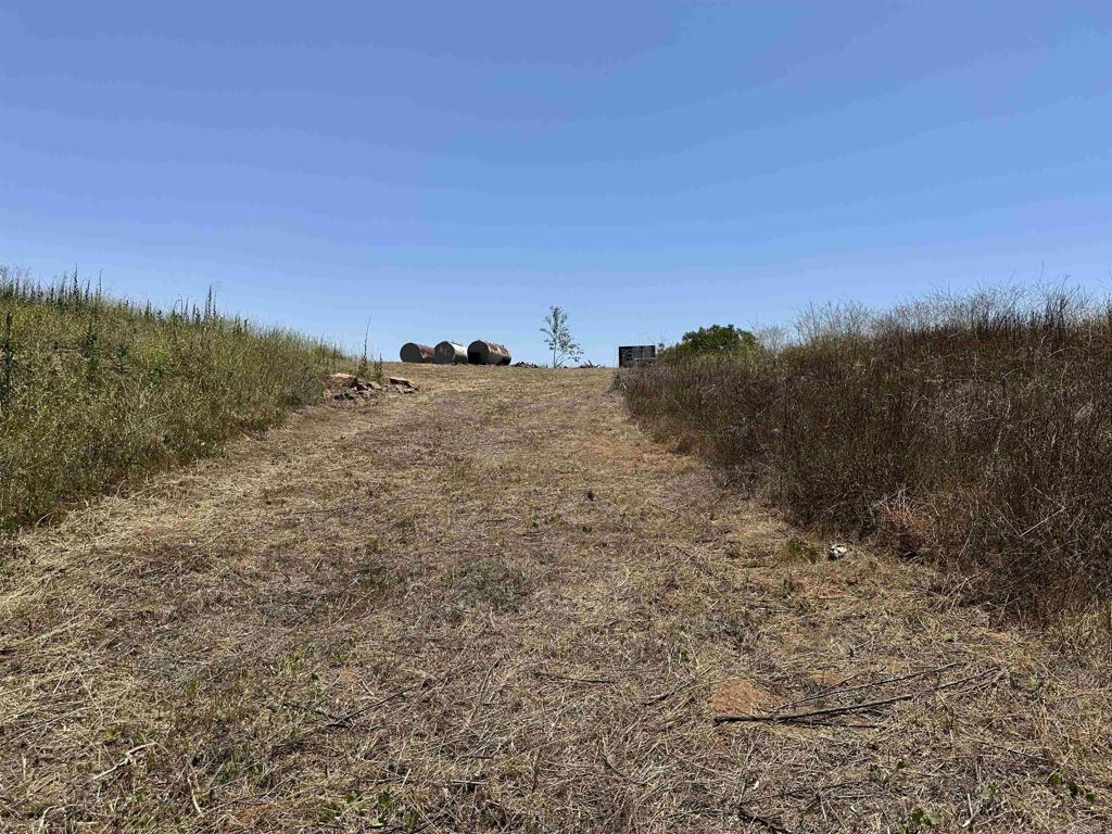 1 Vía Tornado Temecula, CA 92590 - Photo 39 of 42 a view of a dry yard with trees in the background