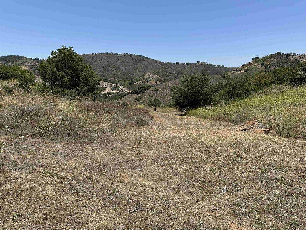 1 Vía Tornado Temecula, CA 92590 - Photo 41 of 42 a view of a dry yard with mountains in the background