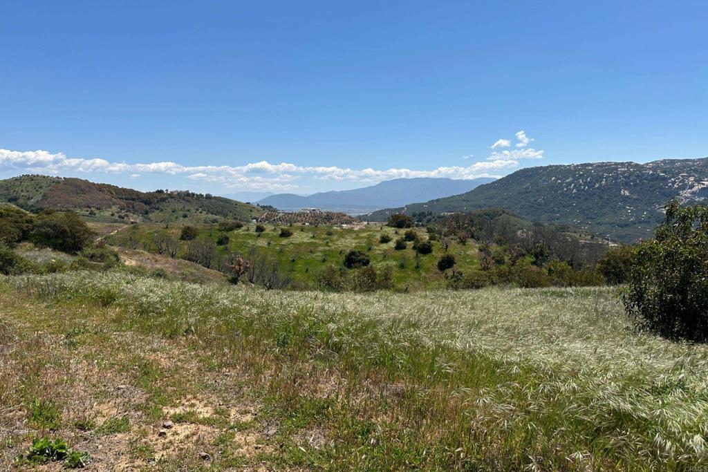 1 Vía Tornado Temecula, CA 92590 - Photo 9 of 42 a view of a mountain range with lush green forest
