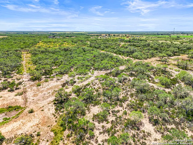 a view of a yard with an empty space and a yard