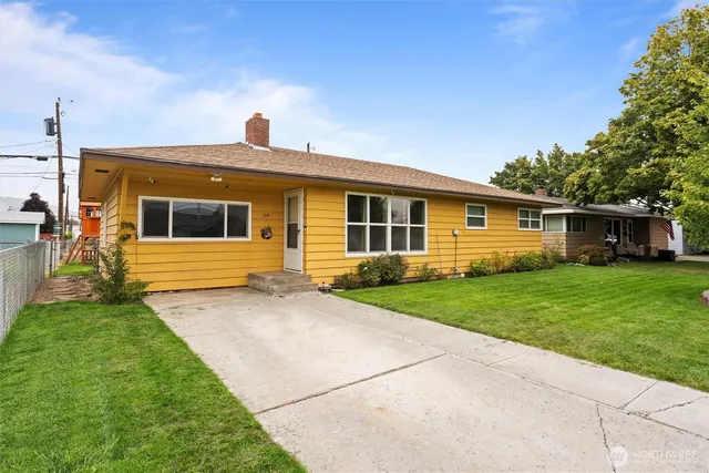 a view of a garden with plants