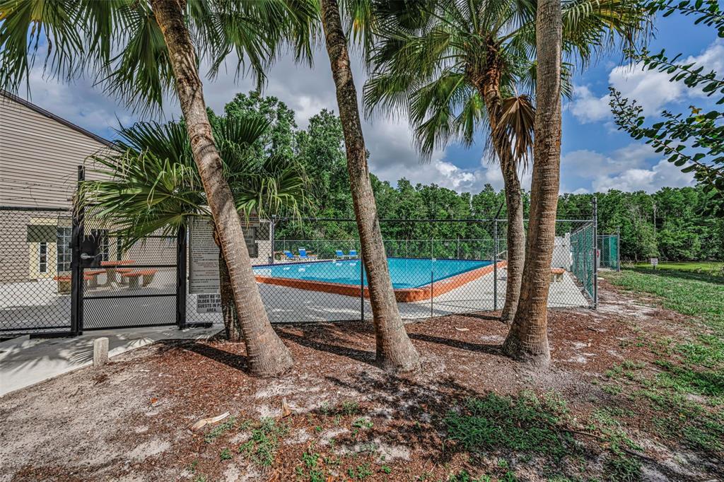 12025 Proctor Loop, Unit 3 New Port Richey, FL 34654 - Photo 35 of 38