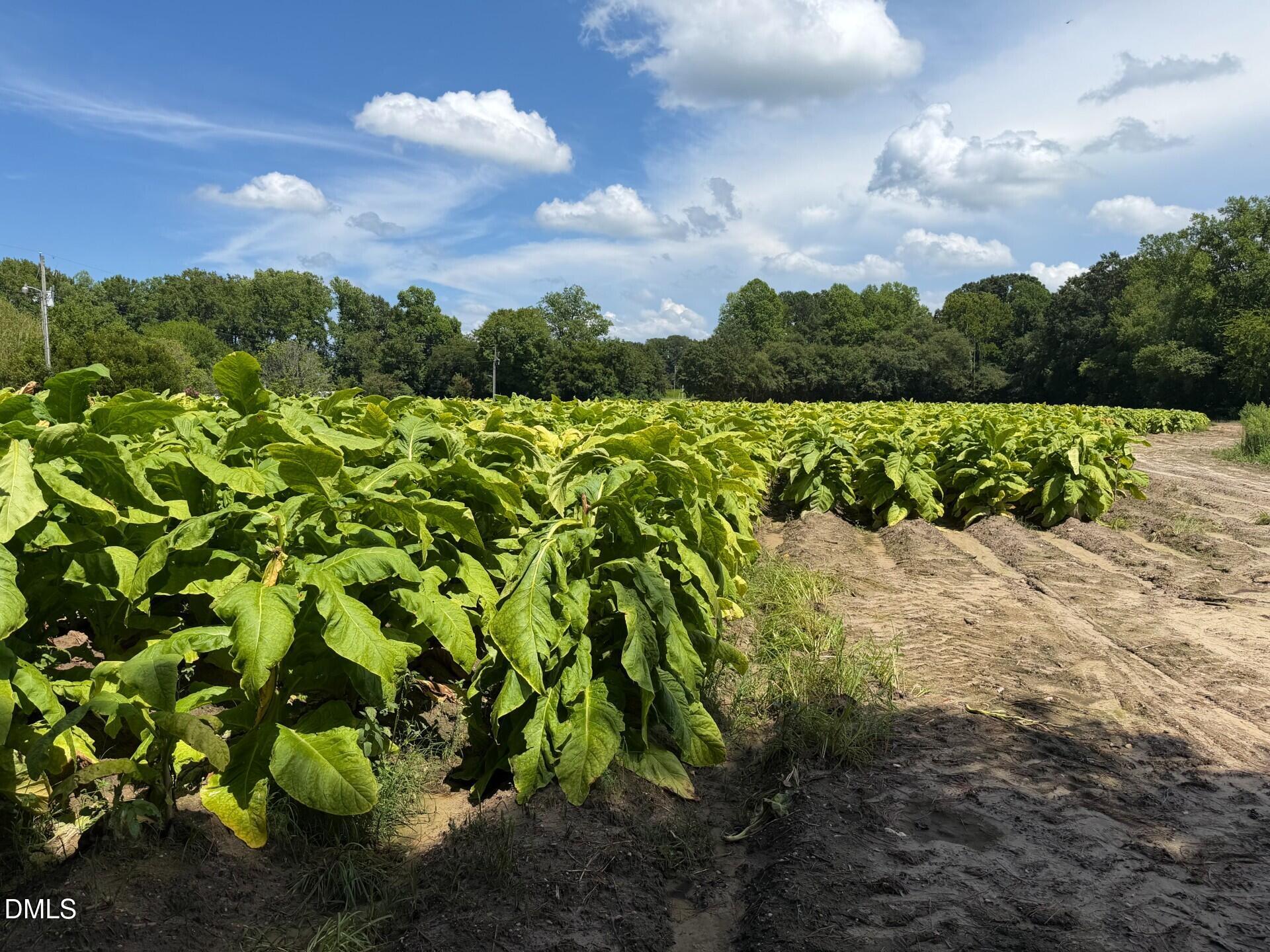 Lot 2 River Run Road Selma, NC 27576 - Photo 23 of 25 Pic 24 Selma