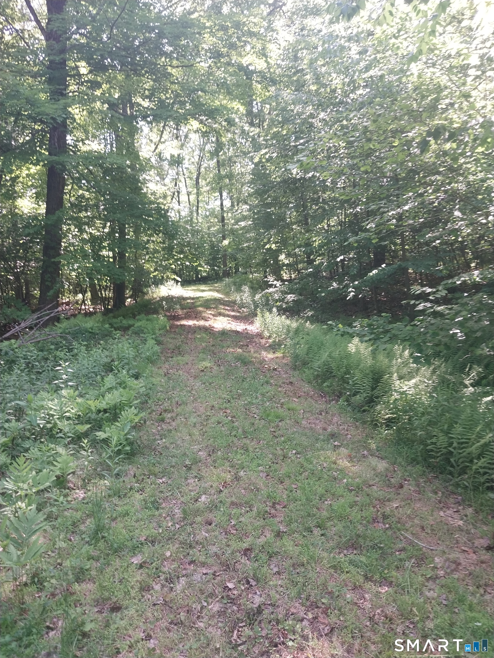Mount Mauwee Road South Kent, CT 06785 - Photo 2 of 10