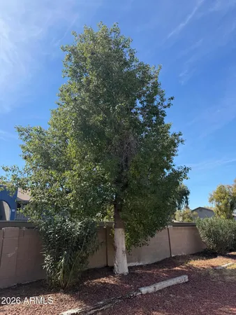 $2,000 | 6815 West Carol Avenue, Peoria, AZ 85345