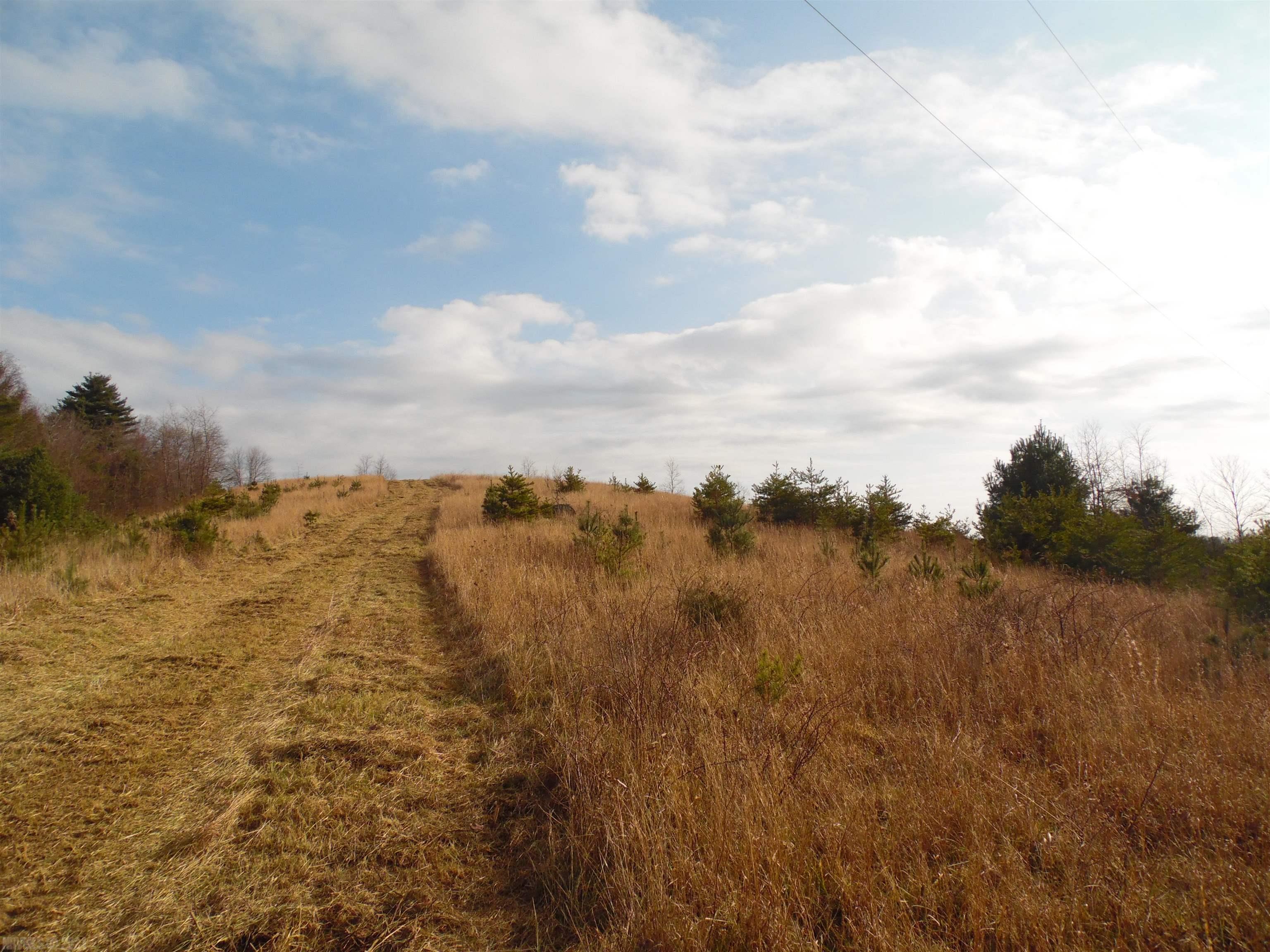 Tbd Stonewall Road Northeast Check, VA 24072 - Photo 34 of 35 Gallery Image 34
