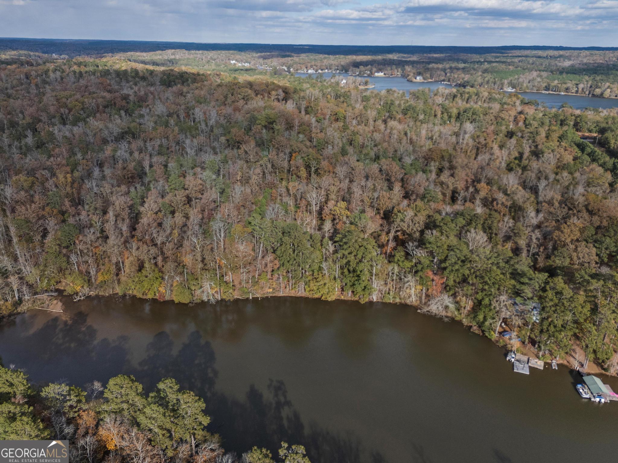 0 Conley Ditch Road Covington, GA 30014 - Photo 6 of 7 a view of a lake with an outdoor space