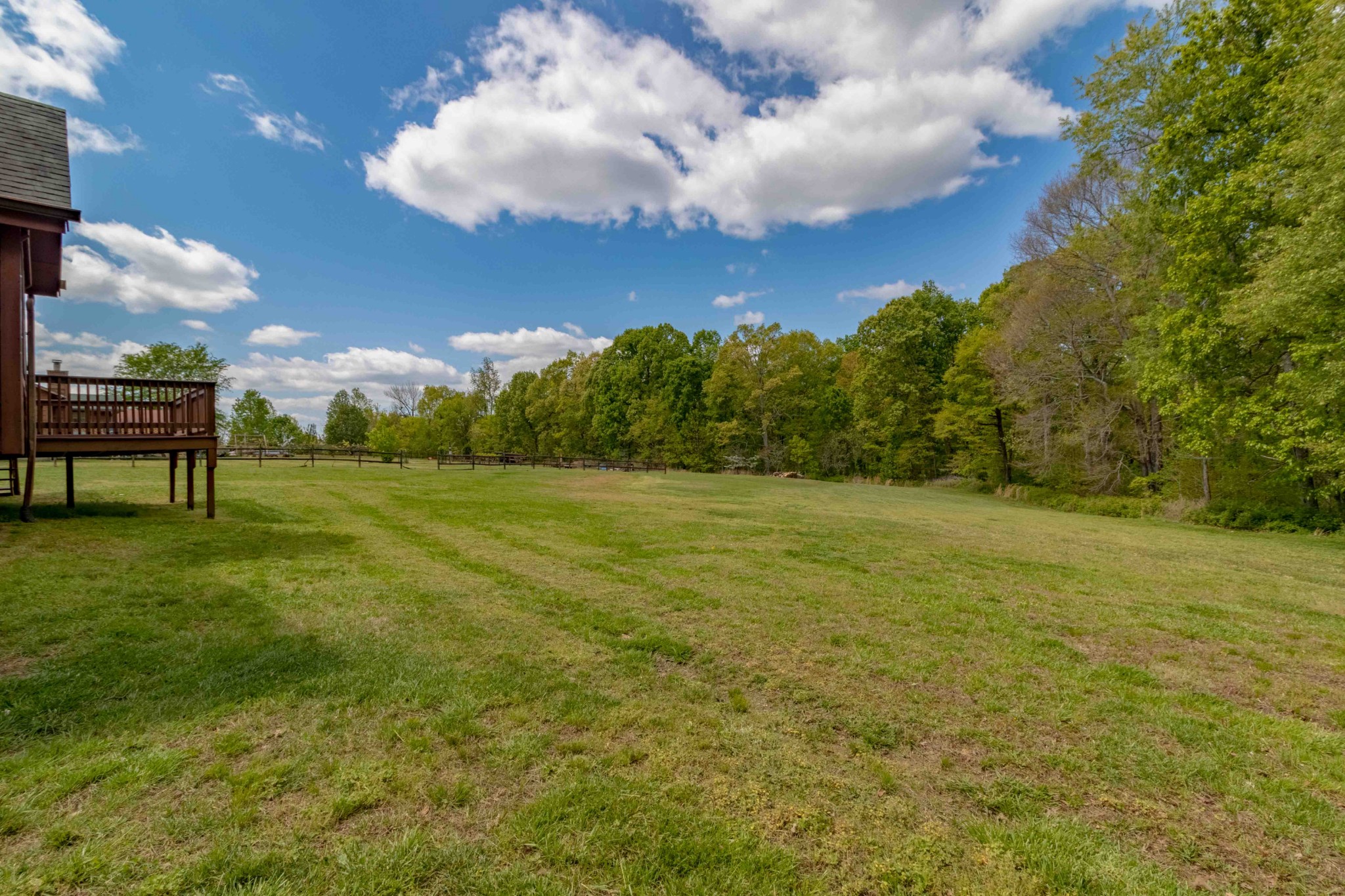 946 Hayes Ridge Road Indian Mound, TN 37079 - Photo 18 of 23 a view of a big yard