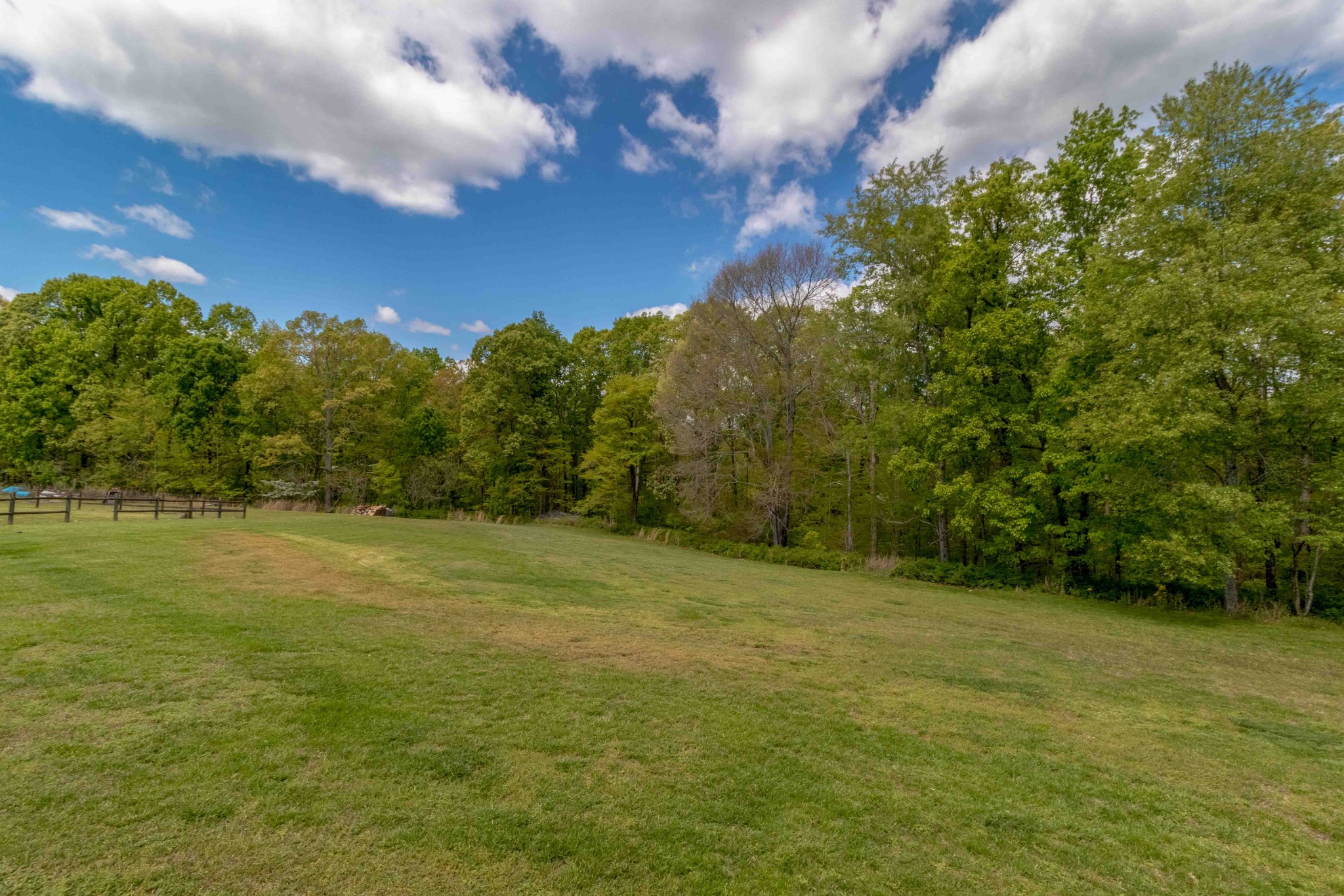 946 Hayes Ridge Road Indian Mound, TN 37079 - Photo 23 of 23 a view of a field with an trees