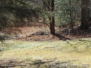 Lot Stonefence Stonefence Road Naugatuck, CT 06770 - Photo 1 of 1