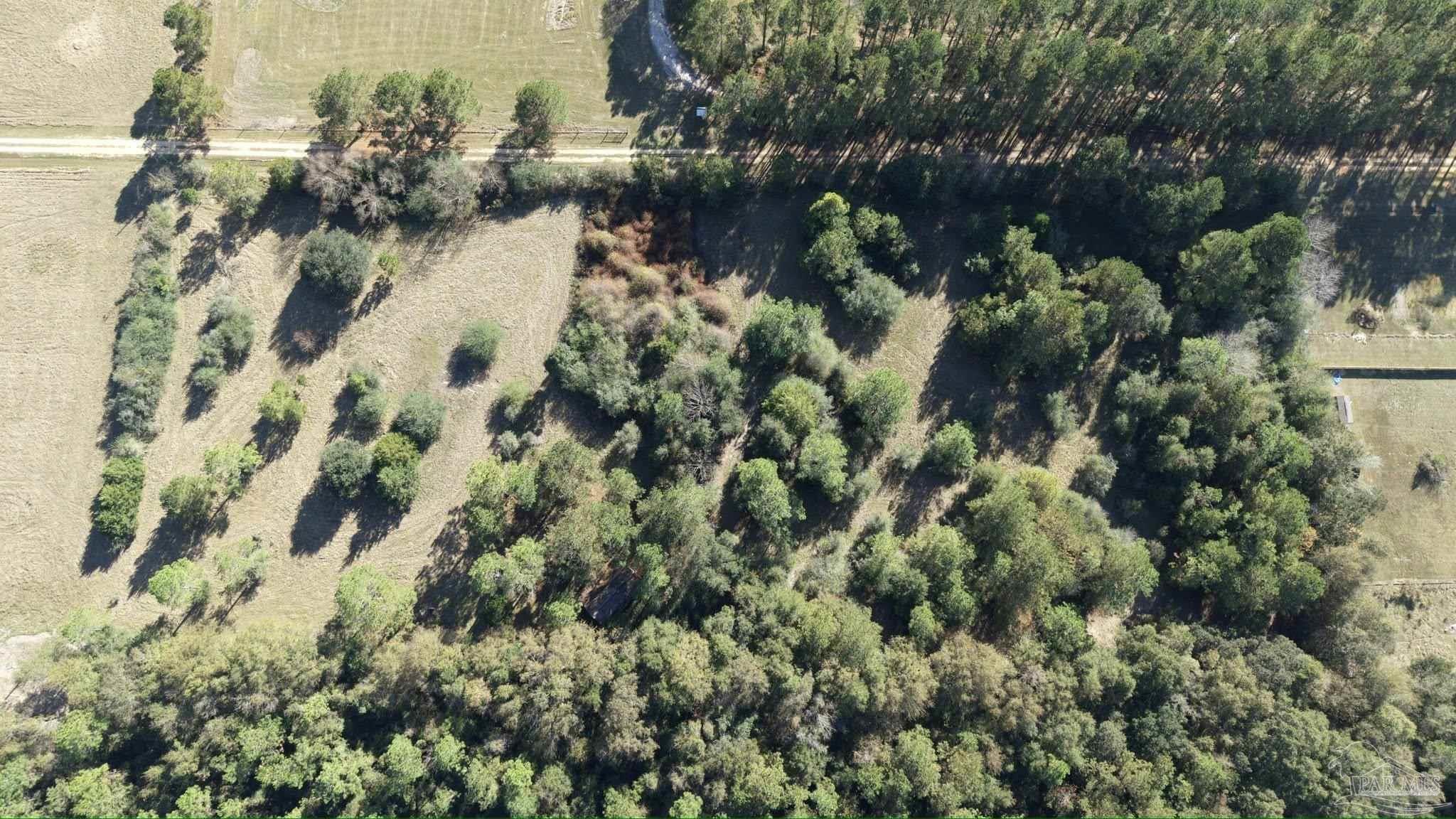 1756 Jacks Branch Road Cantonment, FL 32533 - Photo 29 of 29 a view of a garden with plants