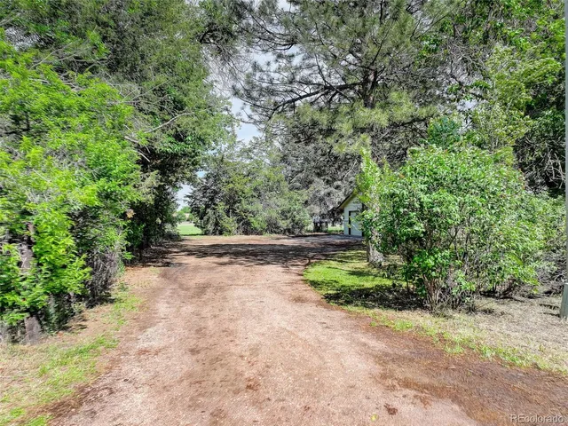 a view of a yard with plants and a small yard
