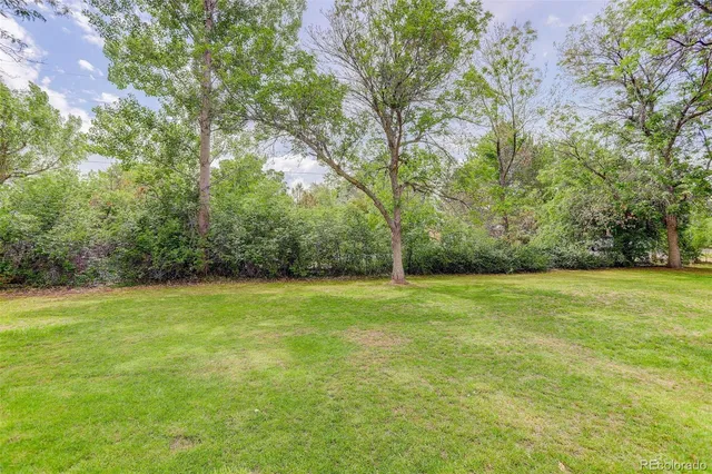 a view of a field with a trees