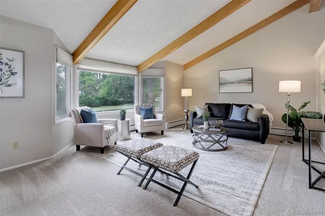 a living room with furniture and a rug