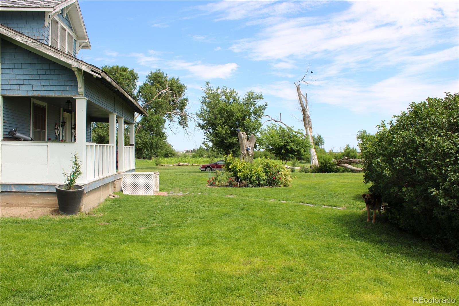 1901 County Road East Joes, CO 80822 - Photo 3 of 36