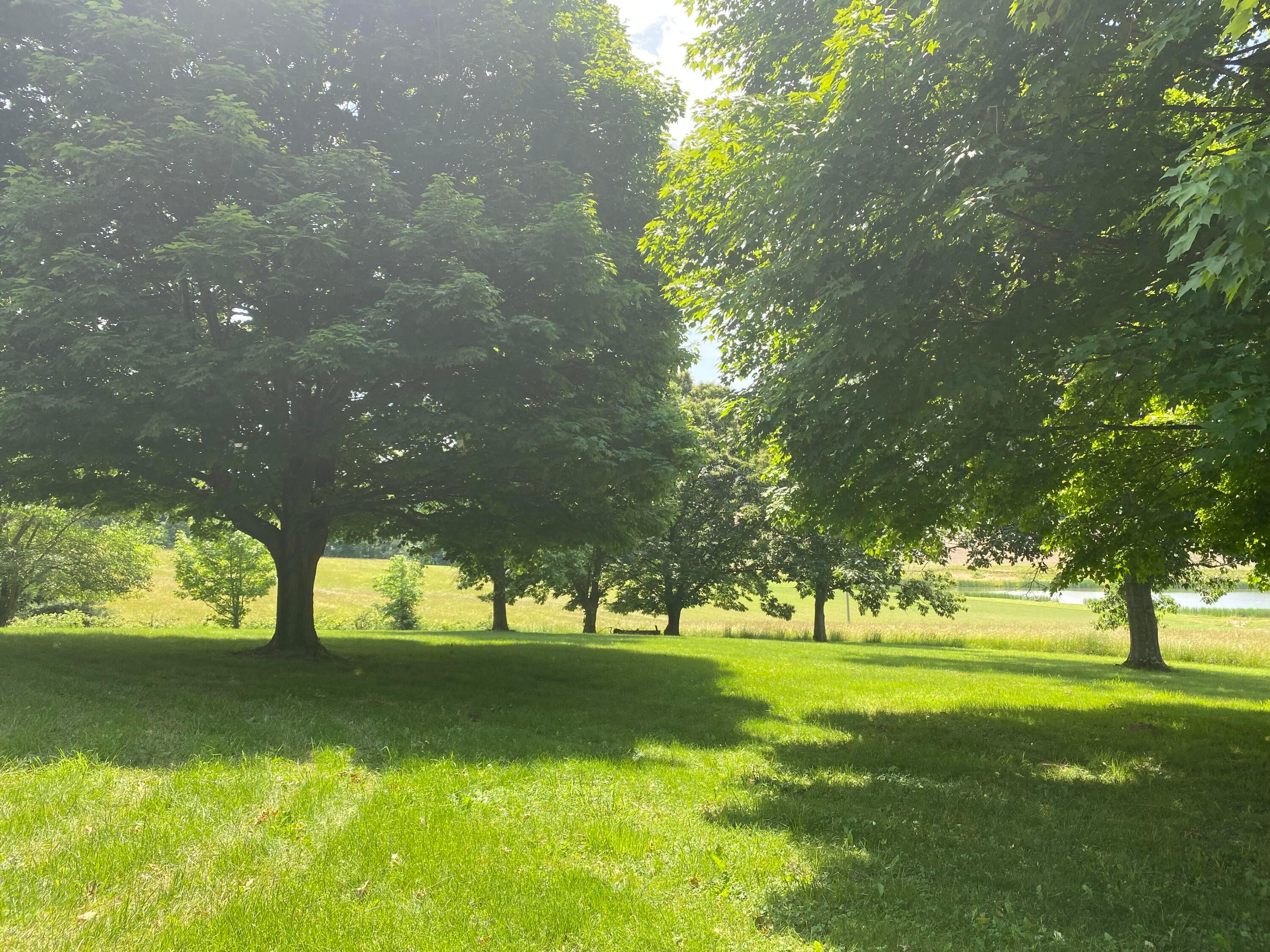 610 Mt Perry Road Mount Perry, OH 43760 - Photo 2 of 27 Yard