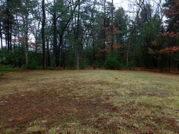 38 Blanchard Road Wilmington, MA 01887 - Photo 20 of 21 a view of outdoor space with a garden