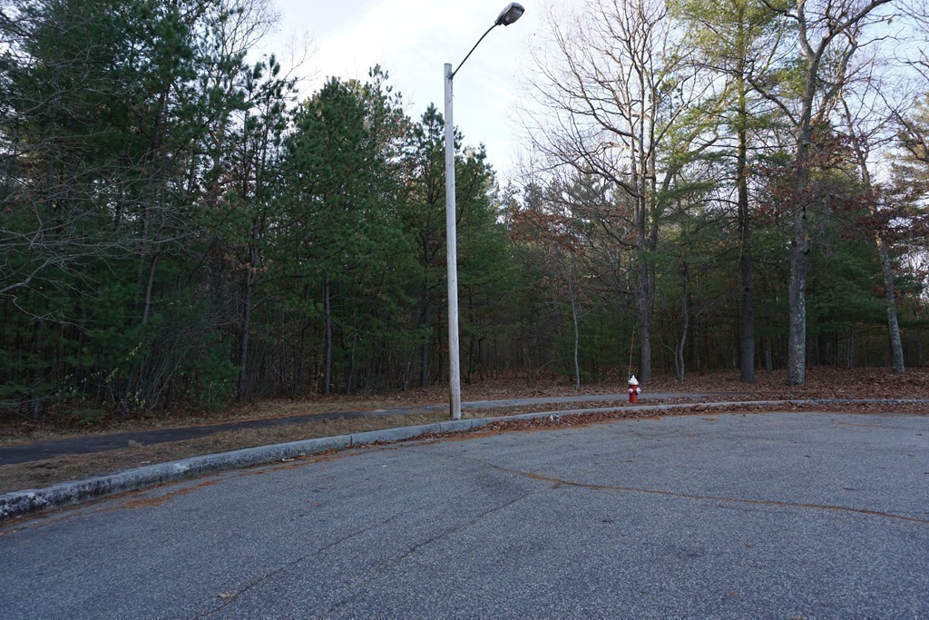 38 Blanchard Road Wilmington, MA 01887 - Photo 21 of 21 a view of outdoor space and trees