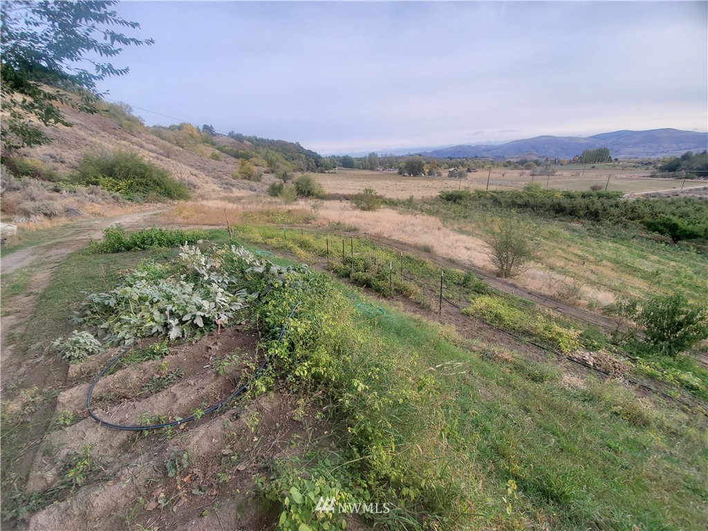 -tbd Panorama Point Road Omak, WA 98841 - Photo 12 of 24