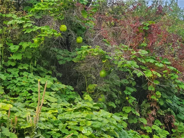 $399,000 | -tbd Panorama Point Road, Omak, WA 98841