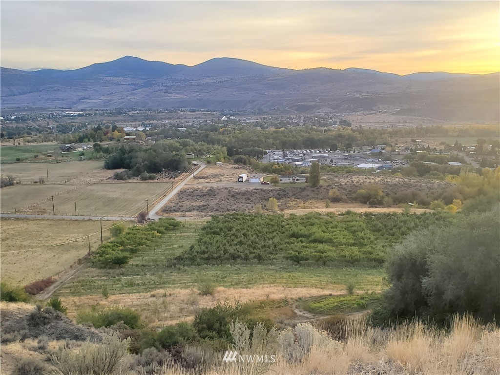 -tbd Panorama Point Road Omak, WA 98841 - Photo 3 of 24
