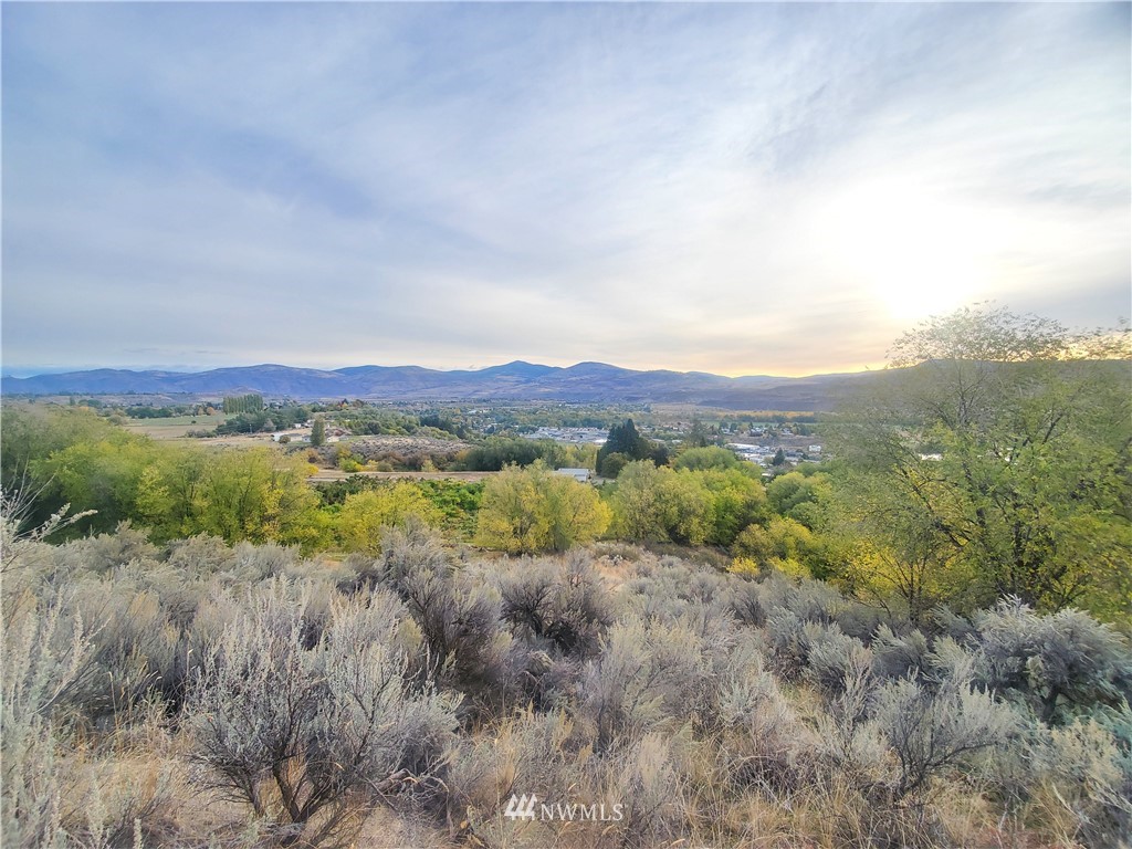 -tbd Panorama Point Road Omak, WA 98841 - Photo 6 of 24