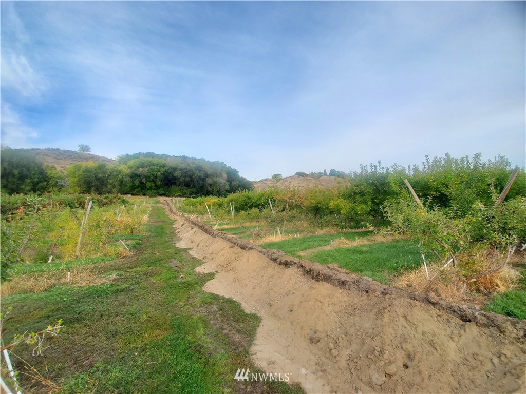 -tbd Panorama Point Road Omak, WA 98841 - Photo 8 of 24