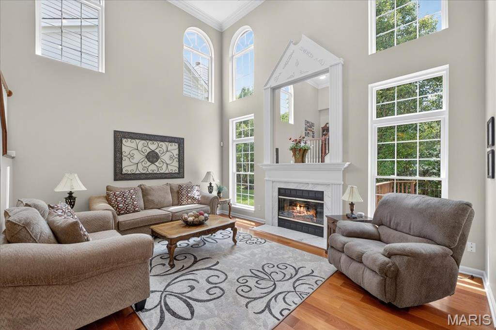 449 Shetland Valley Court Chesterfield, MO 63005 - Photo 7 of 43