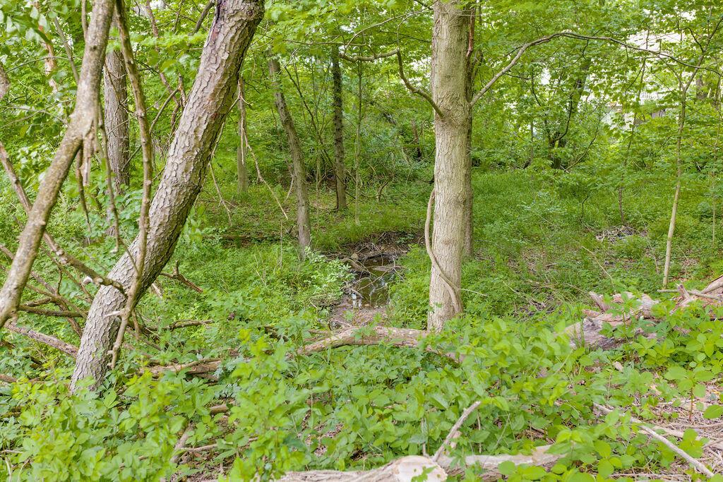 4065 Harlem Road Galena, OH 43021 - Photo 56 of 64 Mature trees