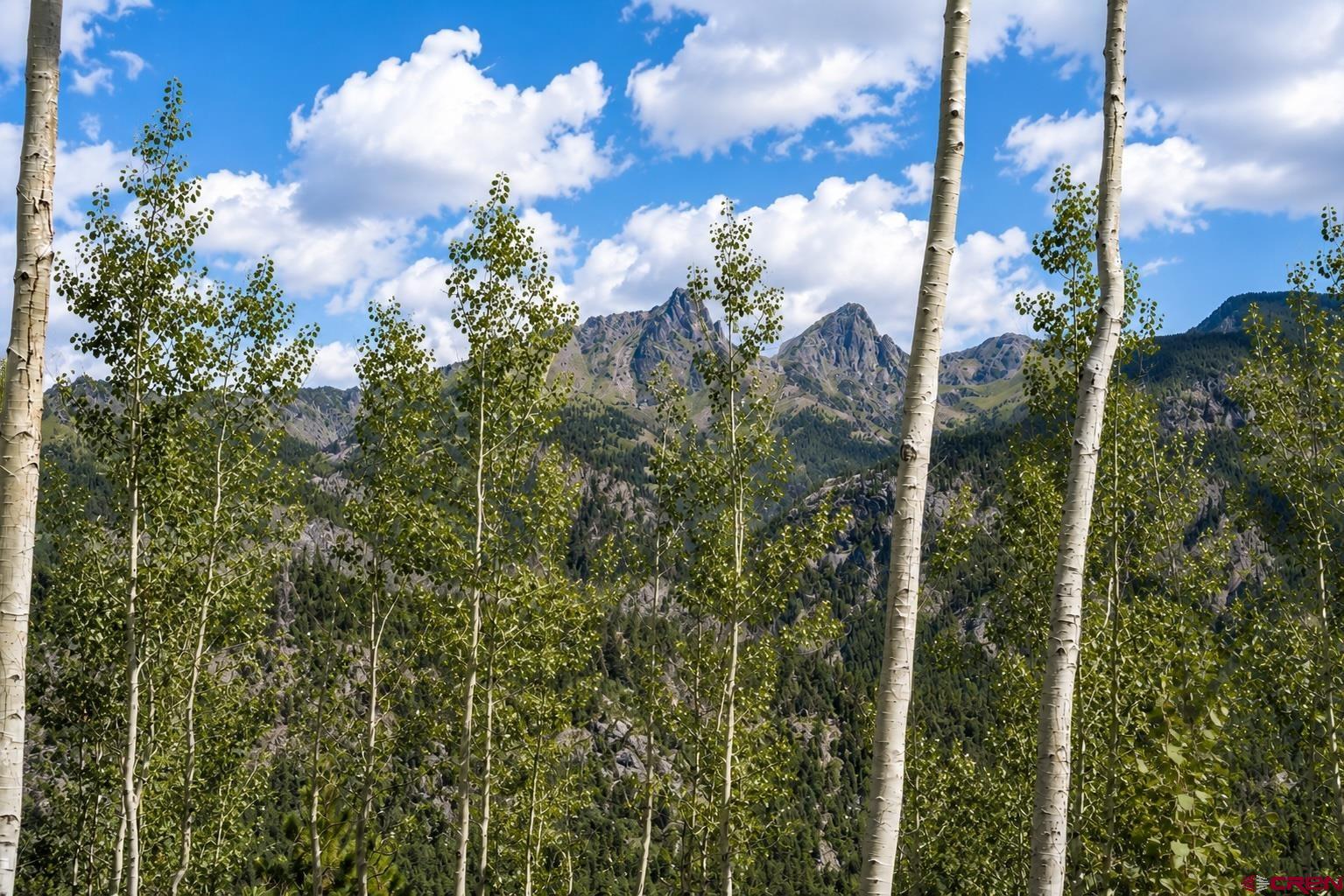83 Long Story Road Durango, CO 81301 - Photo 6 of 12
