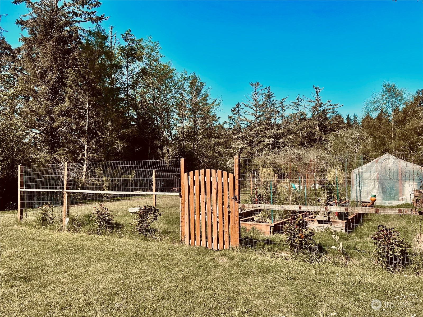 4905 Sandridge Road Long Beach, WA 98631 - Photo 11 of 39 Gallery Image 11