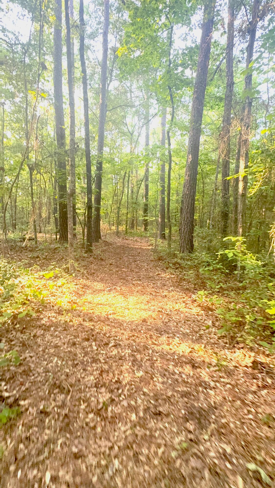 0 Old Whiskey Road South New Ellenton, SC 29809 - Photo 2 of 26