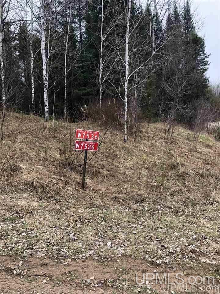 Tbd Turner Road Channing, MI 49815 - Photo 2 of 42