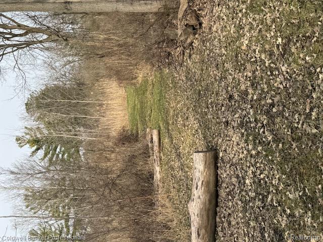 Vl Rattle Run Road St. Clair, MI 48079 - Photo 41 of 45 Gallery Image 41