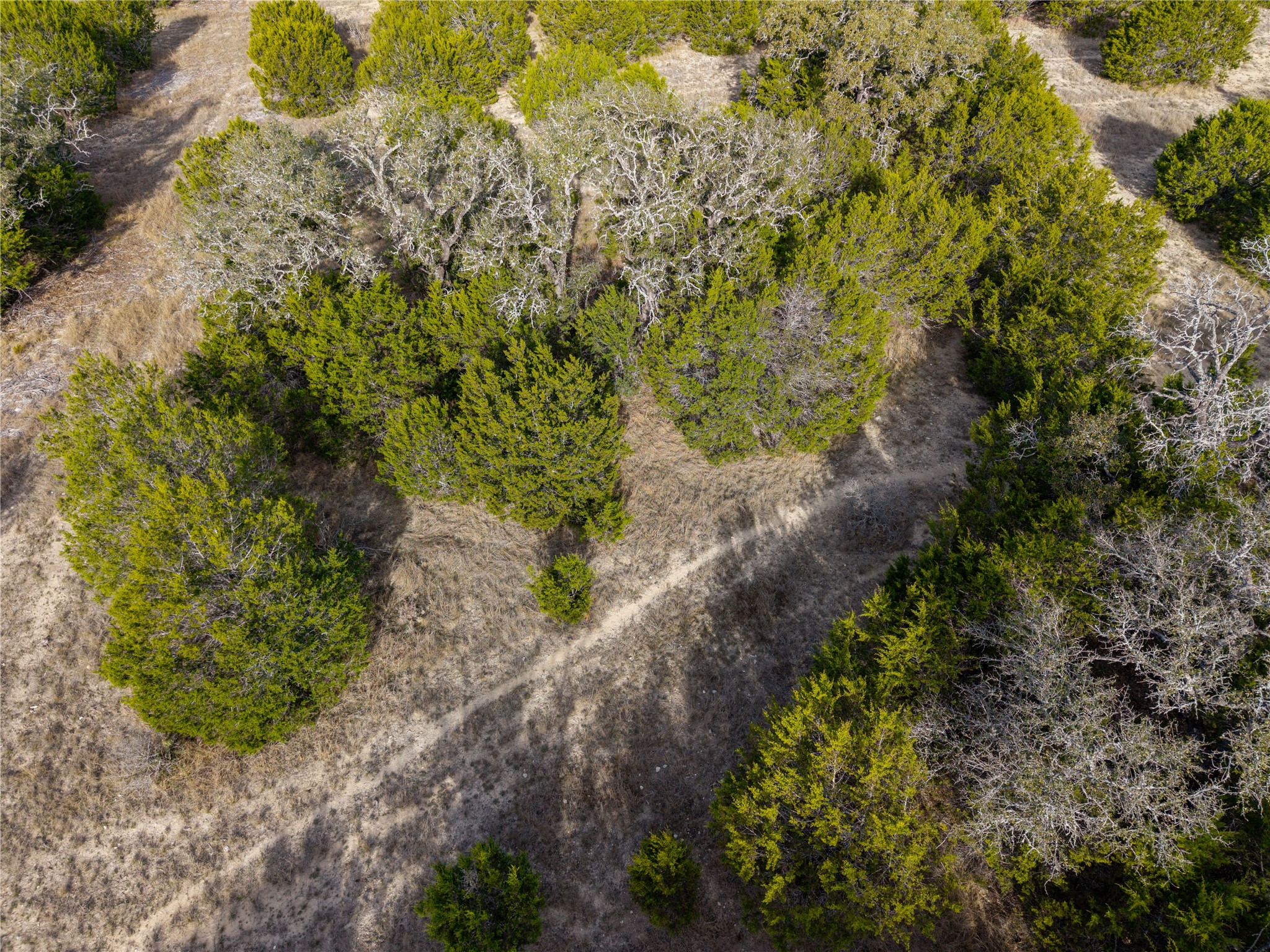 Lot 66 Bluff View Road Kempner, TX 76539 - Photo 13 of 14