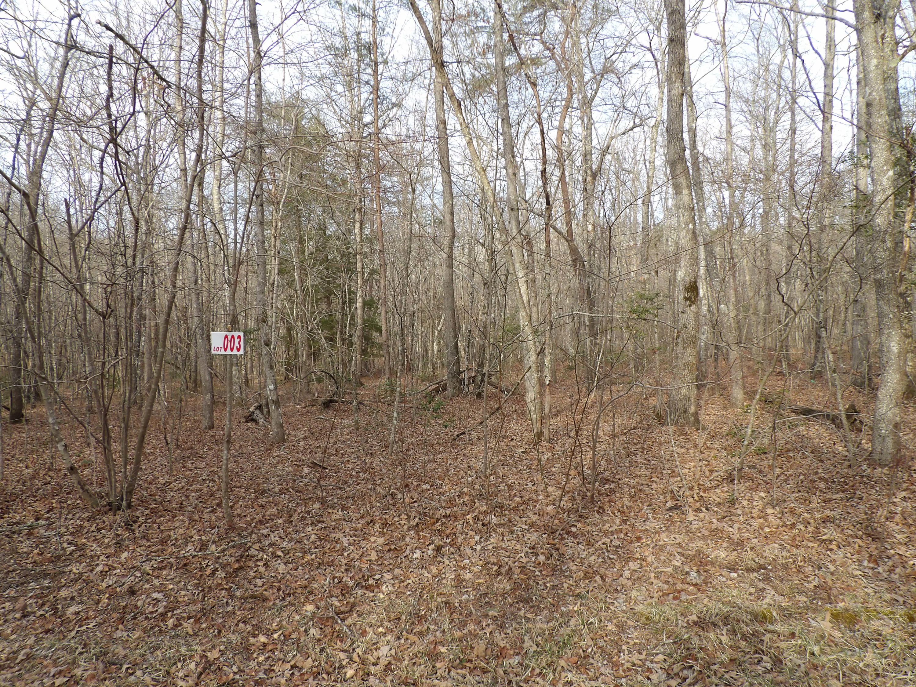 3 Mount Laurel Road, Unit 3 Pikeville, TN 37367 - Photo 7 of 16 100_2307