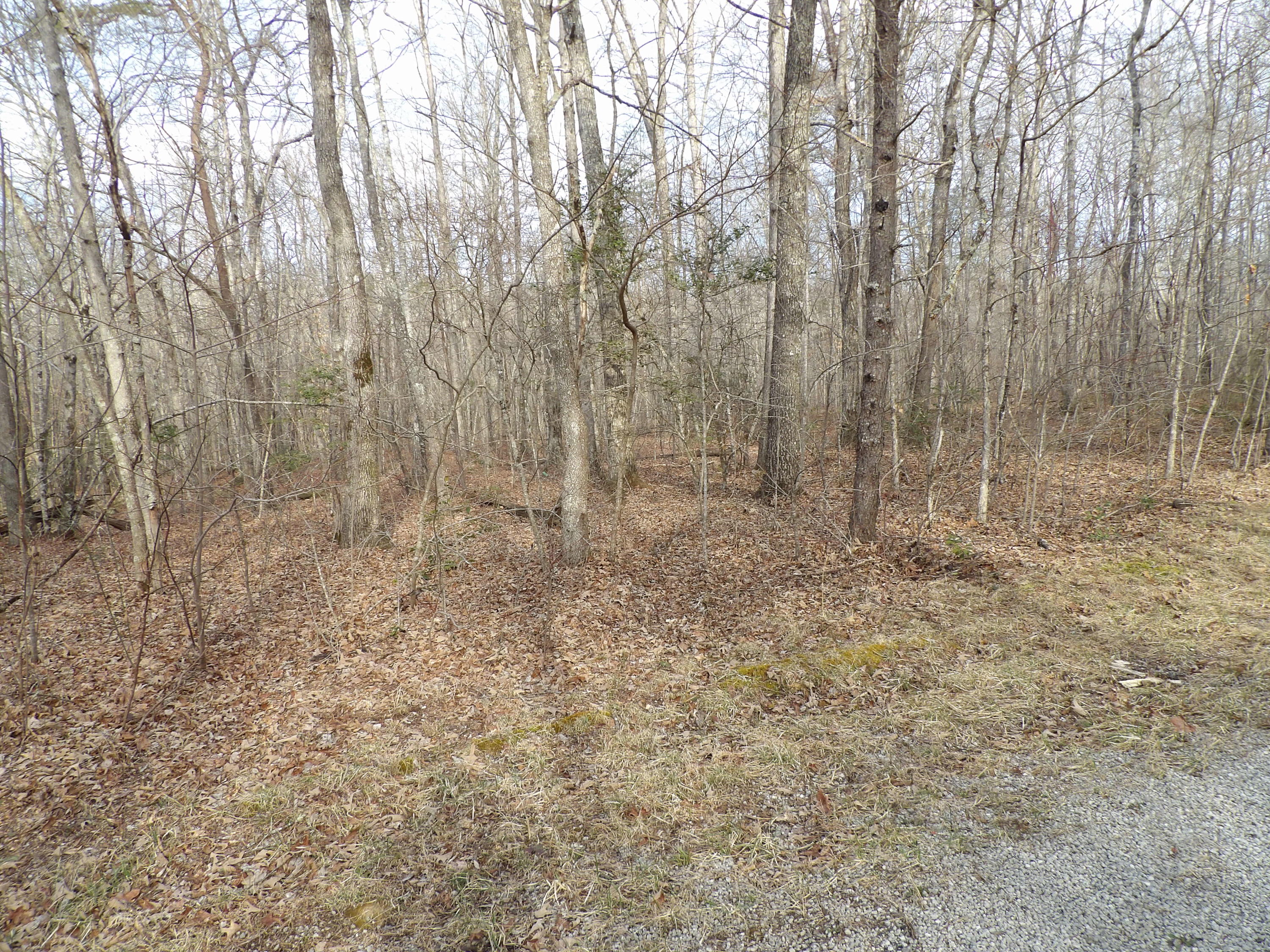 3 Mount Laurel Road, Unit 3 Pikeville, TN 37367 - Photo 8 of 16 100_2308