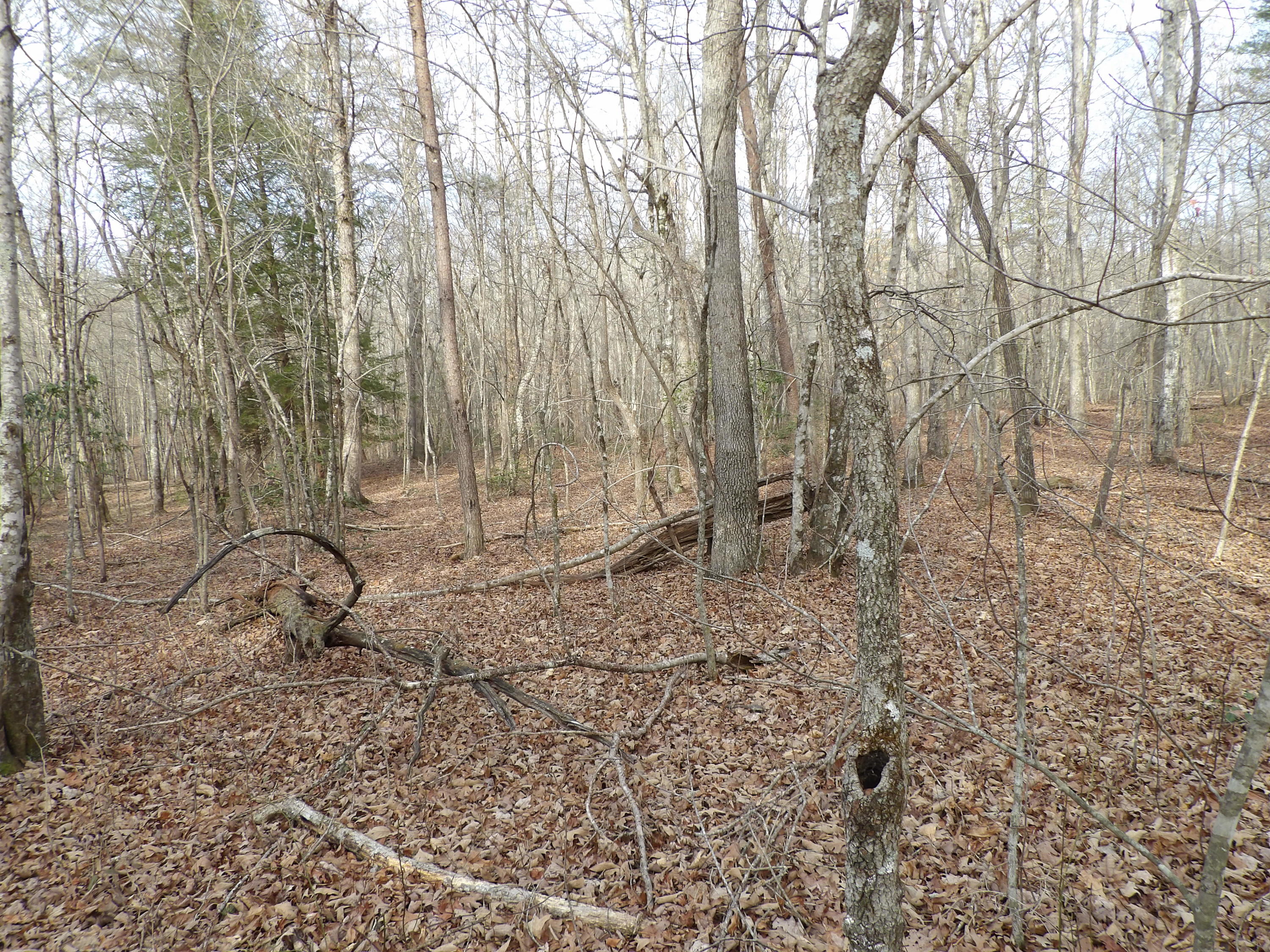 3 Mount Laurel Road, Unit 3 Pikeville, TN 37367 - Photo 9 of 16 100_2311