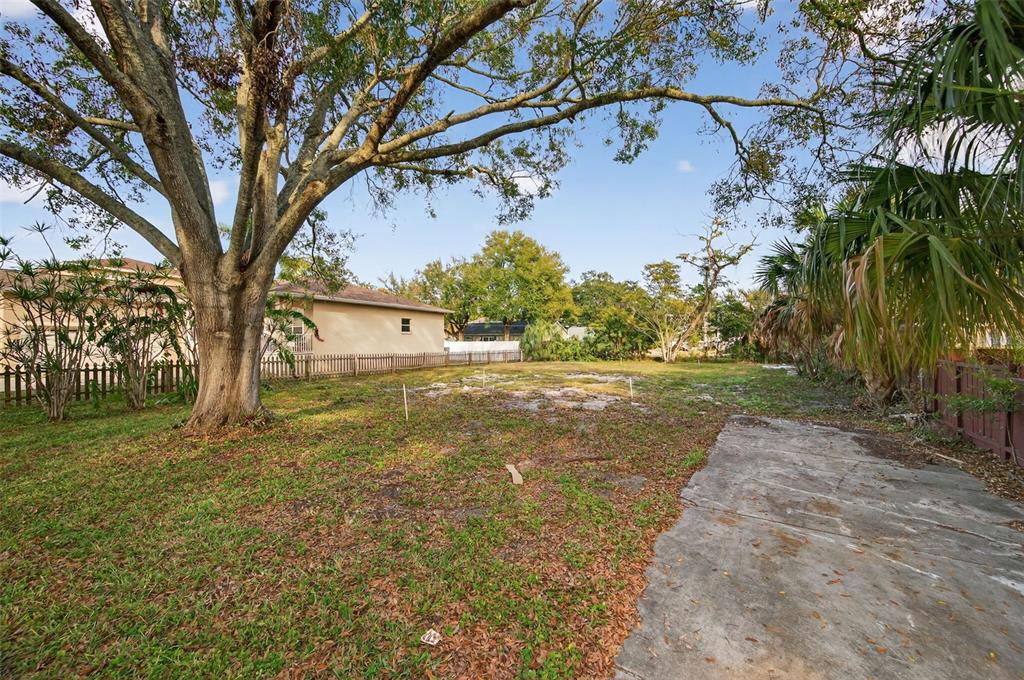 6311 Hobson Street Northeast St. Petersburg, FL 33702 - Photo 7 of 41 a view of yard with tree in front